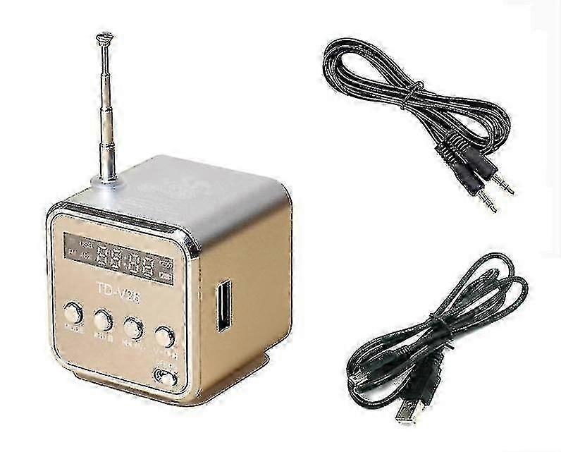 Portable Mini TD26 Silver MP3 Music Player with FM Radio & Card Receiver hwy