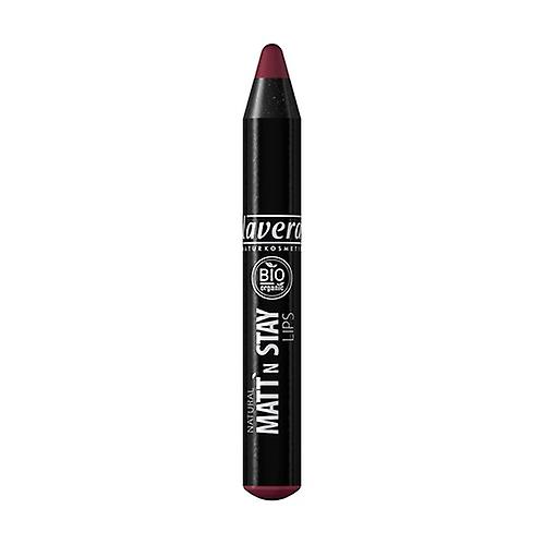 Crayon rouge à lèvres Matt'n Plum 04 3.1g 1 unit of 3.1g