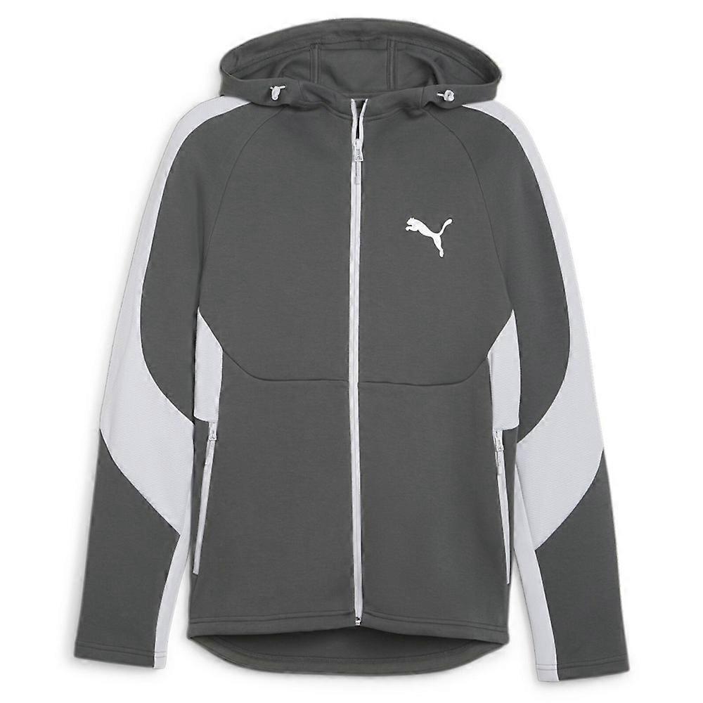 Sweatshirts Puma Evostripe 67899580