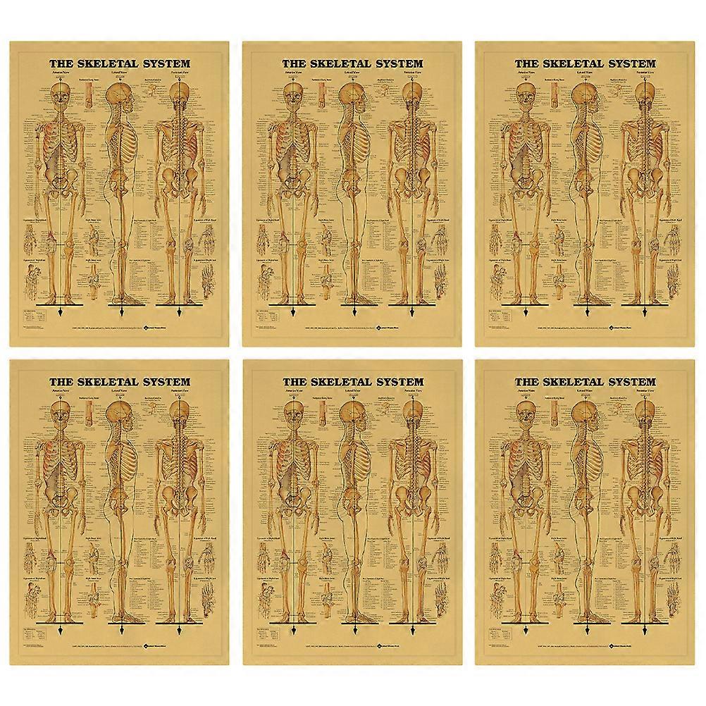 6PCS Learning Skeletal System Poster Set Party Decor Human Skeleton Poster