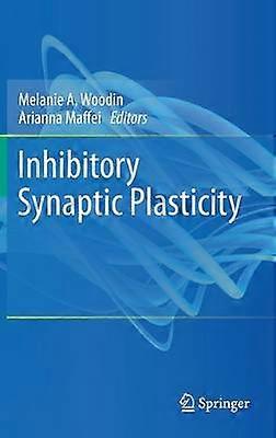 Inhibitory Synaptic Plasticity