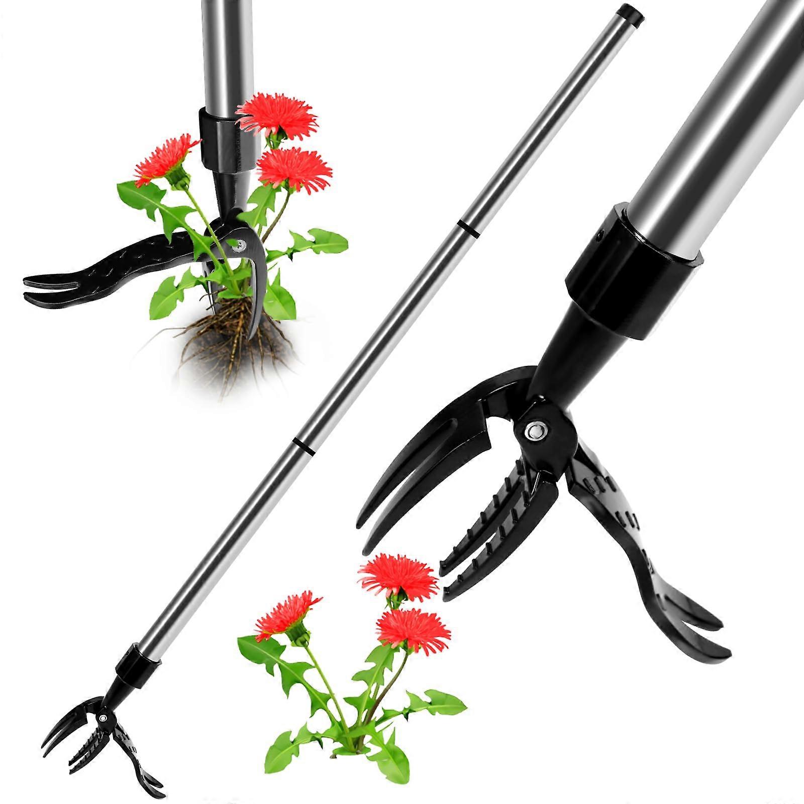 Stainless Steel Weeding Tools for Garden with Long Handle