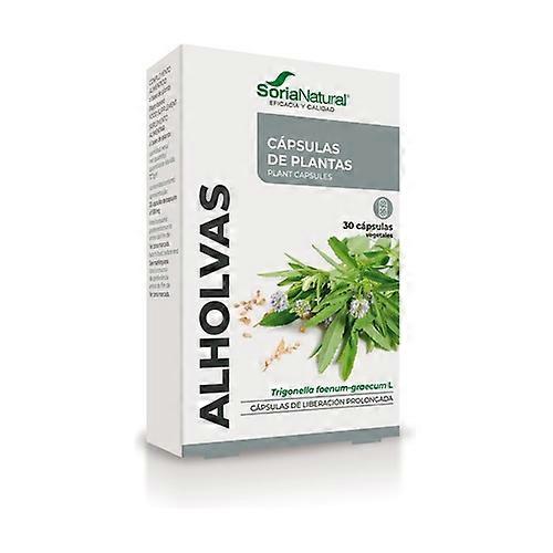 03 S Fenugreek (XXI Formula) 30 capsules