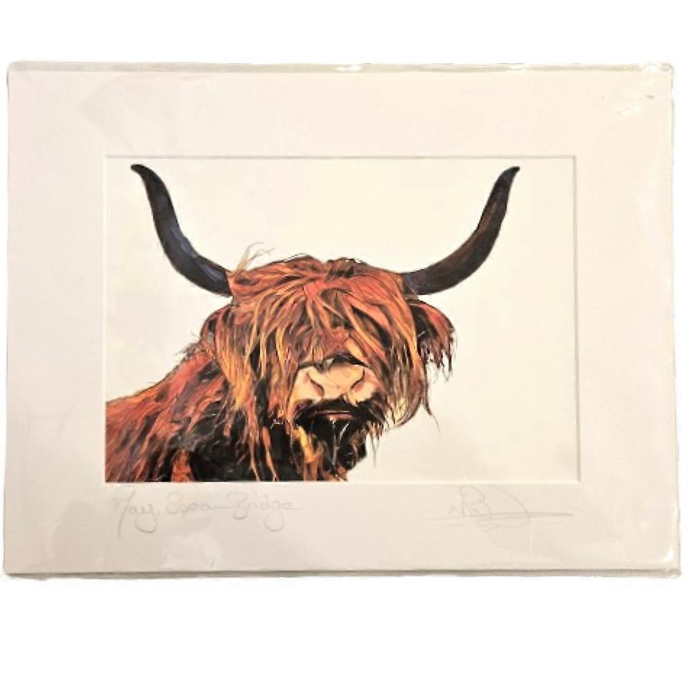 "May at Spean Bridge" Highland Cow Signed Print 12" x 16" by Nick Field