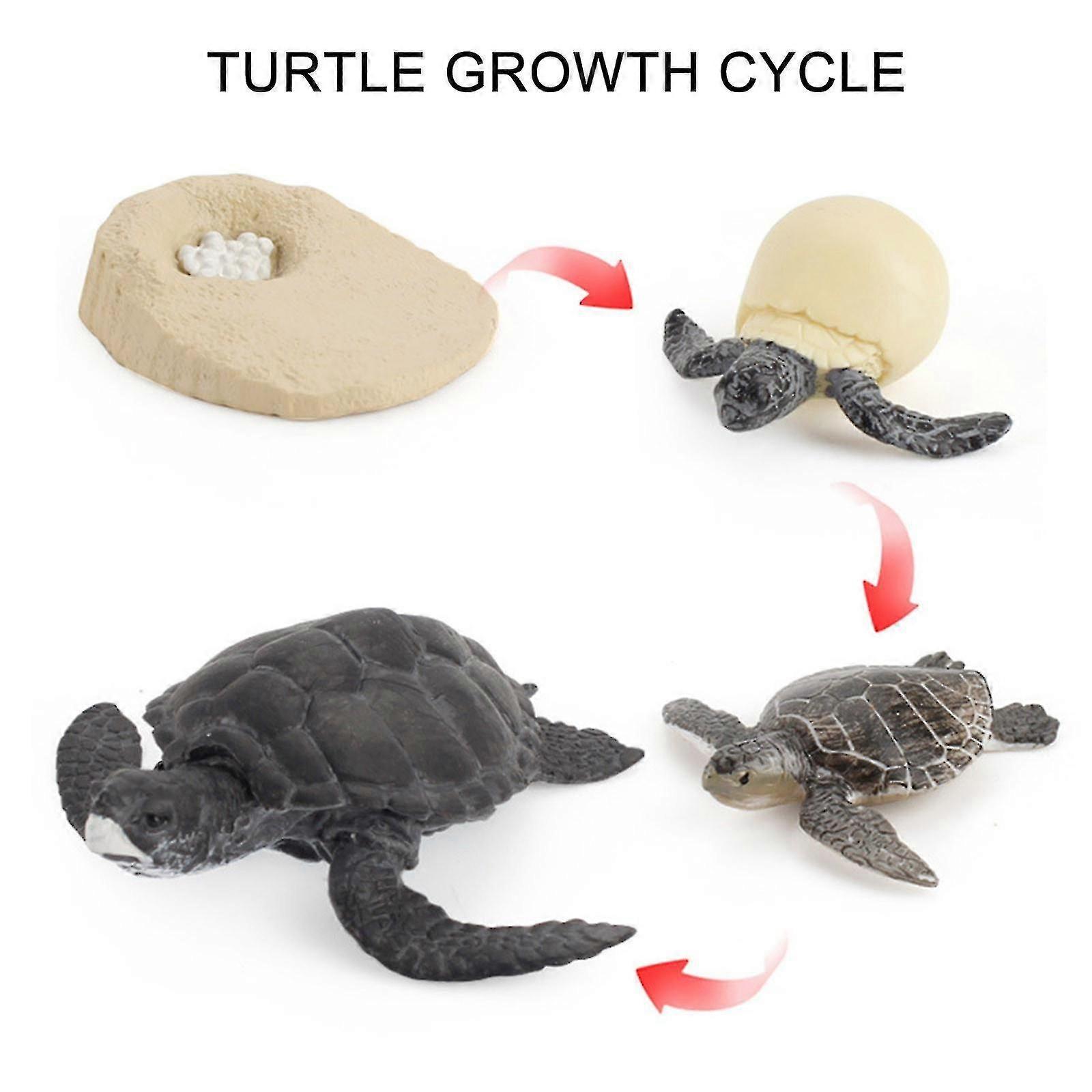 4PCS Insect Life Cycle Figurines - Plastic Growth Stages from Larva to Adult