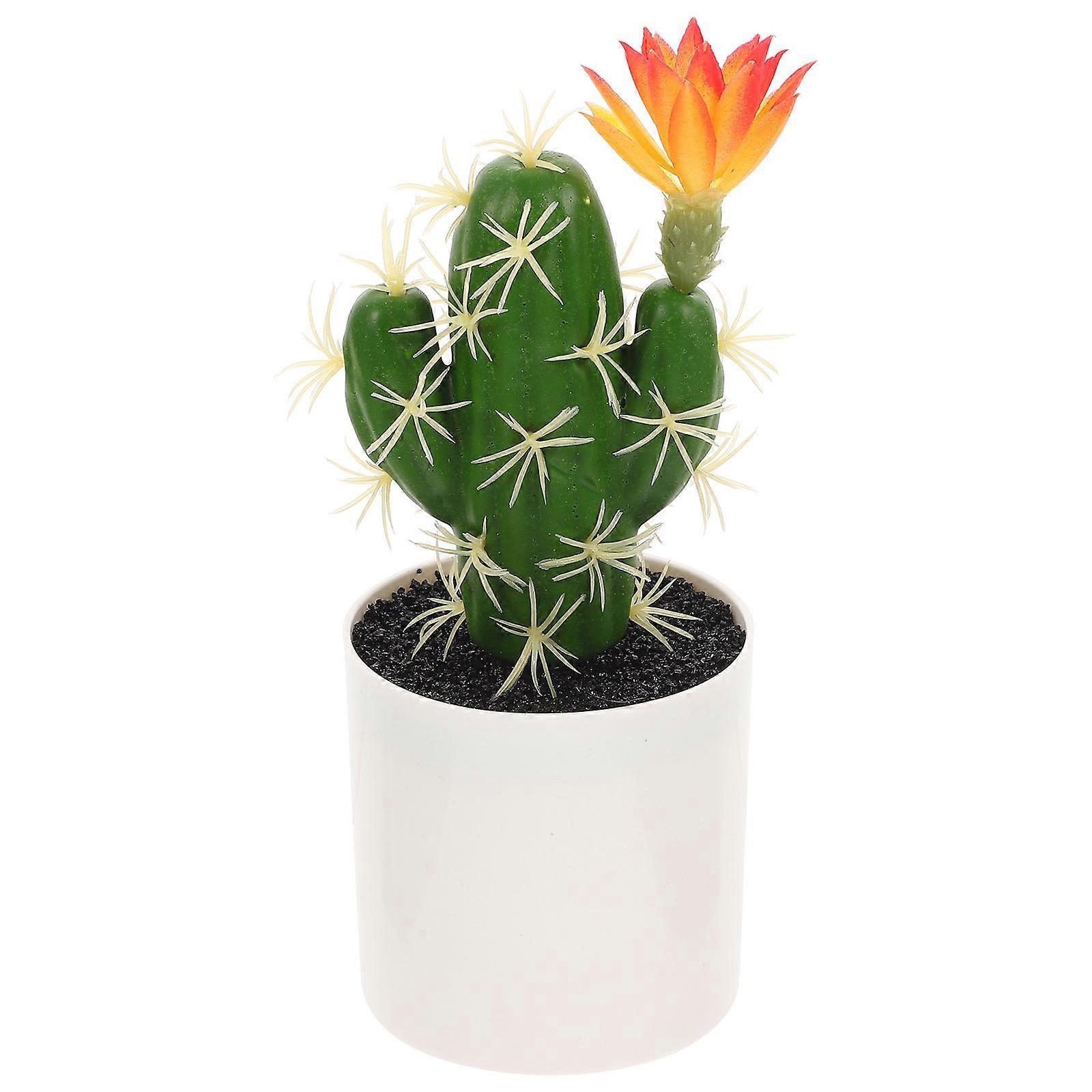 Lifelike Plastic Cactus Plant for Decor 2Pcs Green Bonsai Set