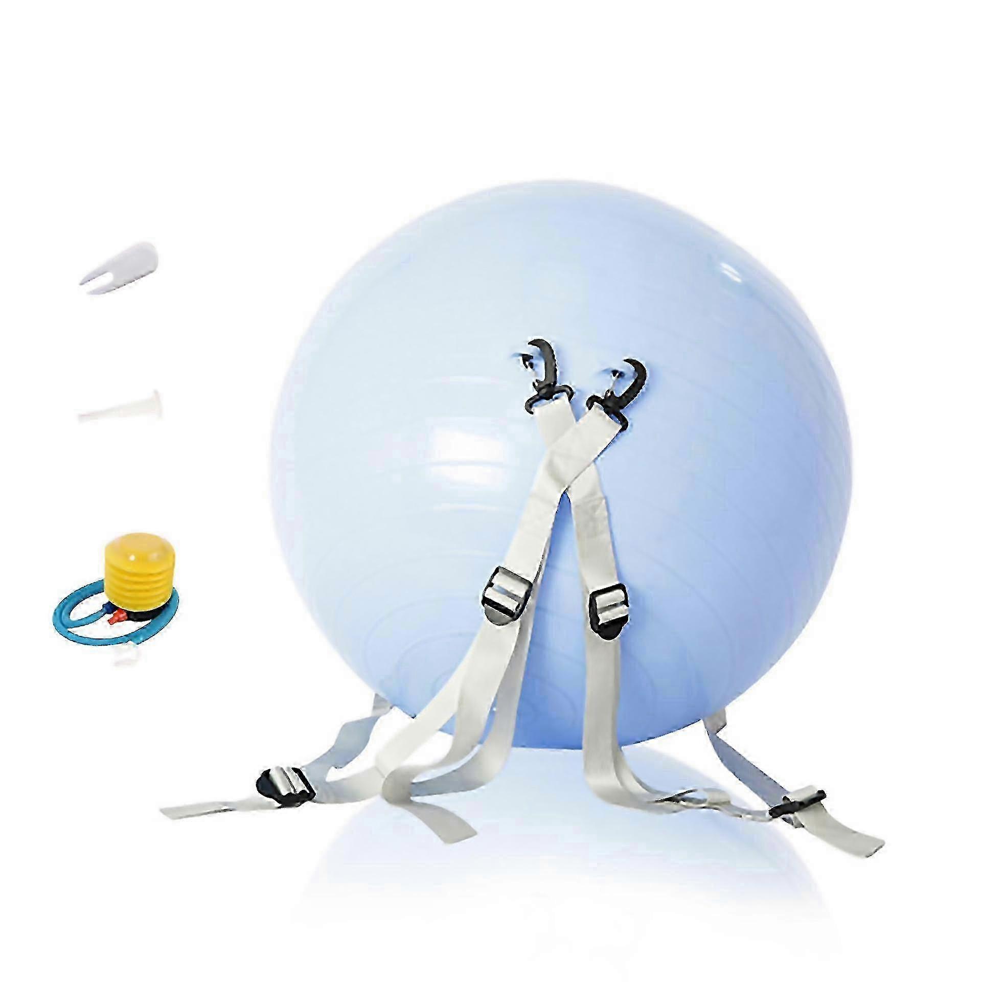 Adjustables Straps Backflip Assist Ball Anti Slip Training Balance Ball For Workout Easy To Clean An