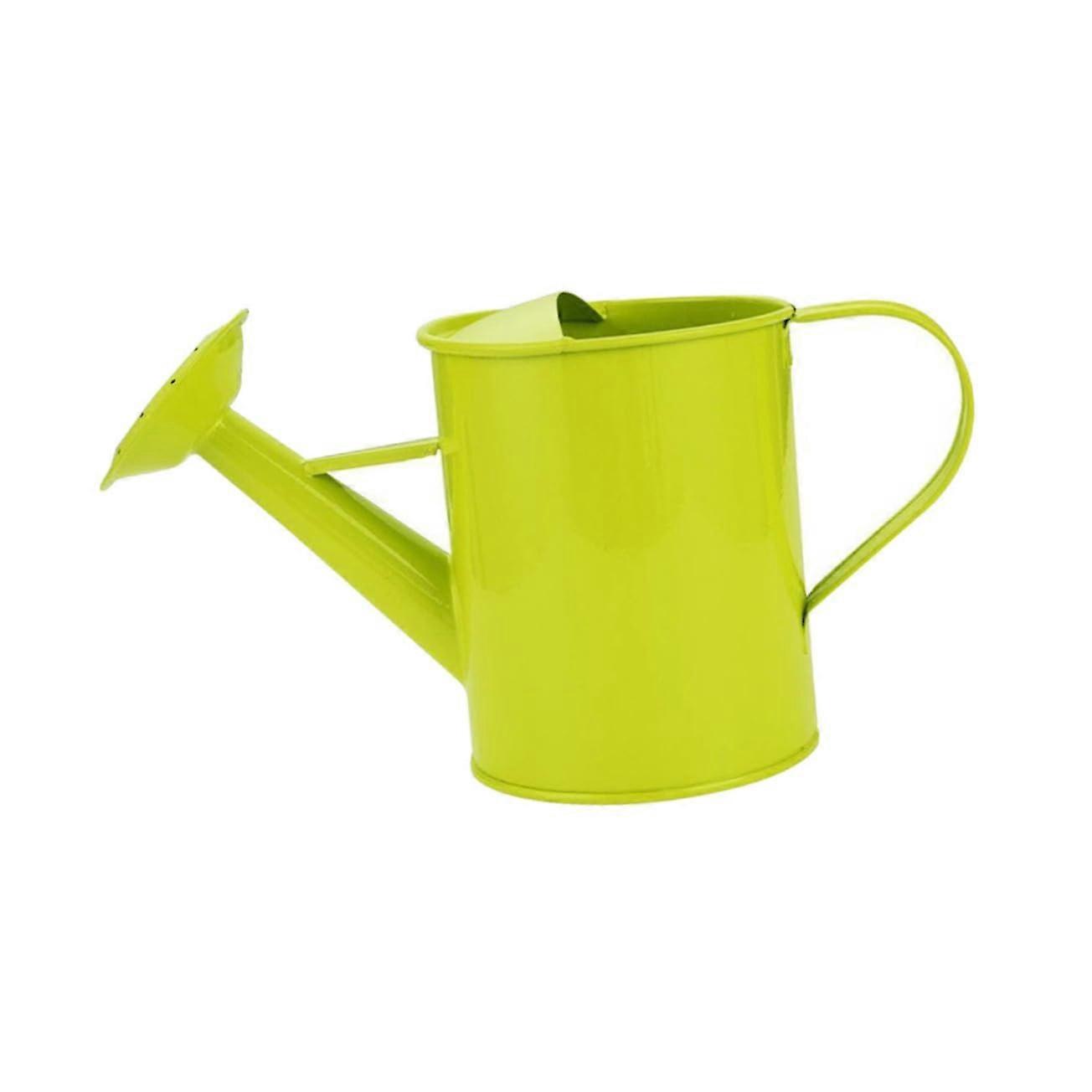 Watering Can Ergonomic Handle For Indoor Outdoor Plants Iron Art Pot Color