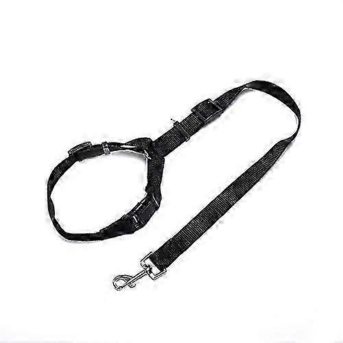 Dog Car Seatbelt Set (2pcs)