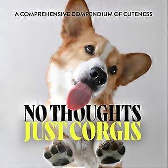 Nessun pensiero, solo corgi: un compendio completo di carineria