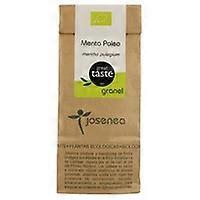 Mint Poleo Bag 50 g