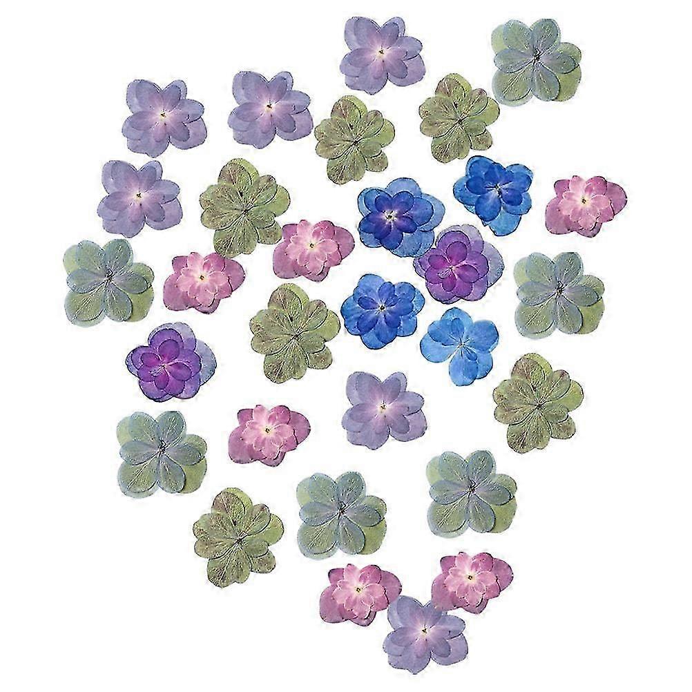 30Pcs Small Dried Hydrangea Pressed Flowers for Decoration