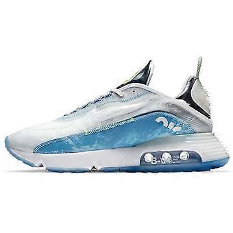 Nike Air Max 2090 Jäänhopea CZ8693-011
