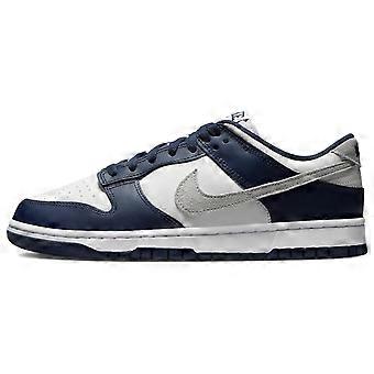 Nike Dunk Low 'Midnight Navy Smoke Grey' FD9749-400