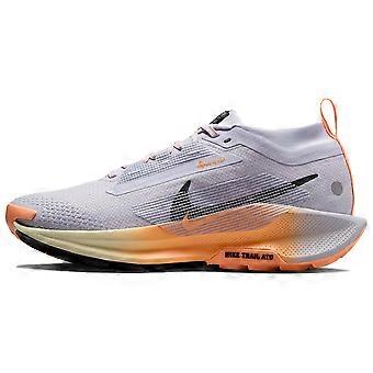 Nike Pegasus Trail 5 hardloopschoenen voor dames, grijs, FQ0912-011