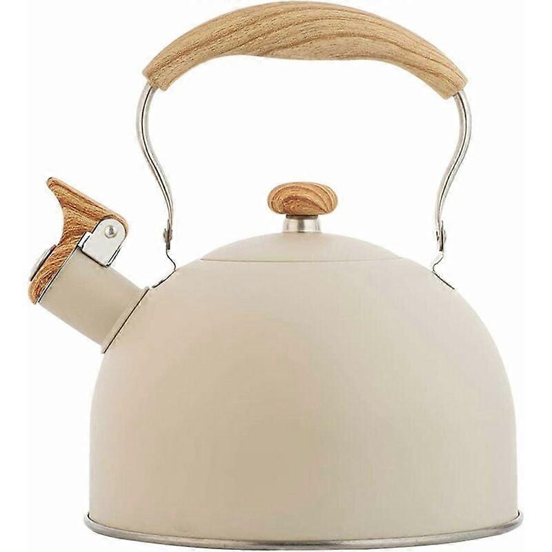 Silicone-Coated Rust-Resistant Rapid-Heating Tea Kettle
