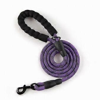 5ft Padded Heavy Duty Nylon Leash
