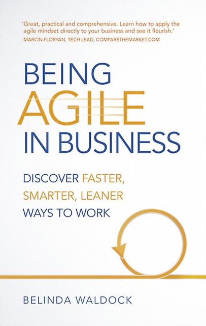 Being Agile In Business by Belinda Waldock Paperback