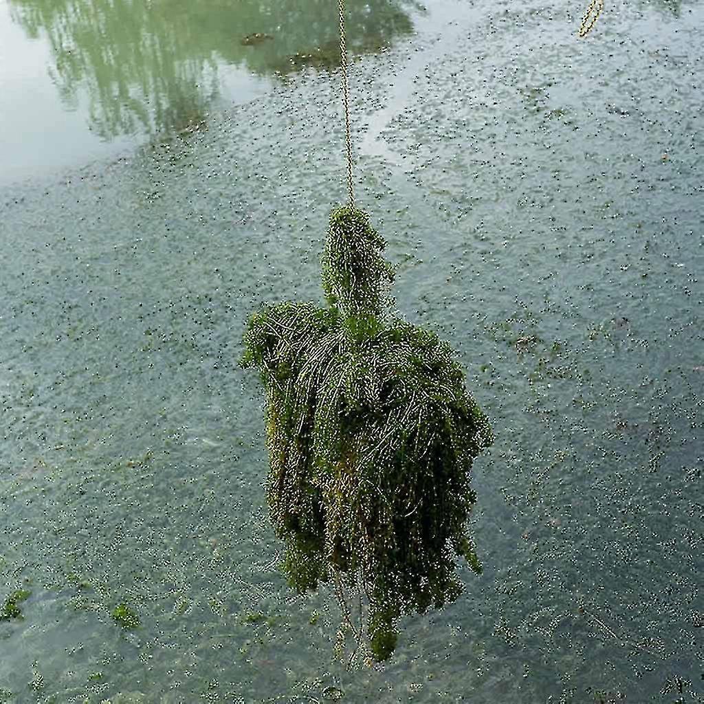 Stainless Steel Folding Weed Razor Weed Removing Tool Aquatic Plants ...