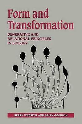 Vorm en transformatie