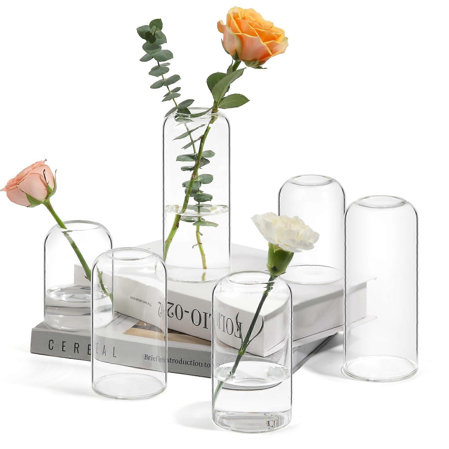 6 Clear Glass Flower Vases for Office Modern Decor, Decorative Centerpieces, 10 Inch Tall, Minimalist Design