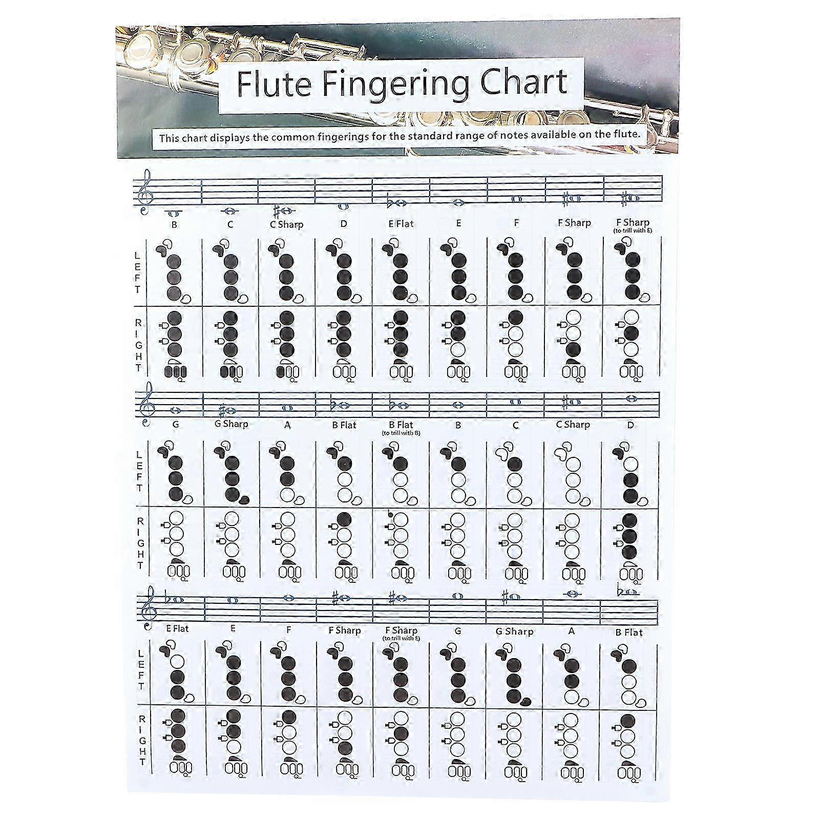 Flute Fingering Chart for Beginners - Practice Accessory and Teaching Aid (Size 56x40cm)