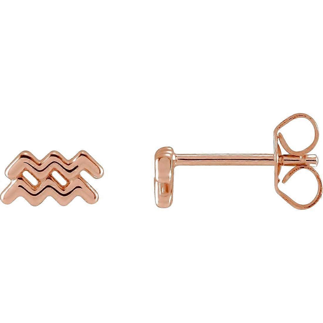 14Kローズゴールドアクエリアスポリッシュ干支スタッドピアス-女性用スタッドピアス - 1.0グラム