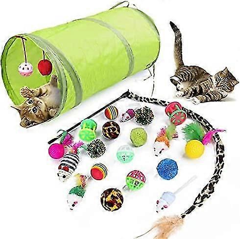 Cat Toys 21 Pcs Kitten Toys Cat Interactive Toys Set(Accessories in random color)