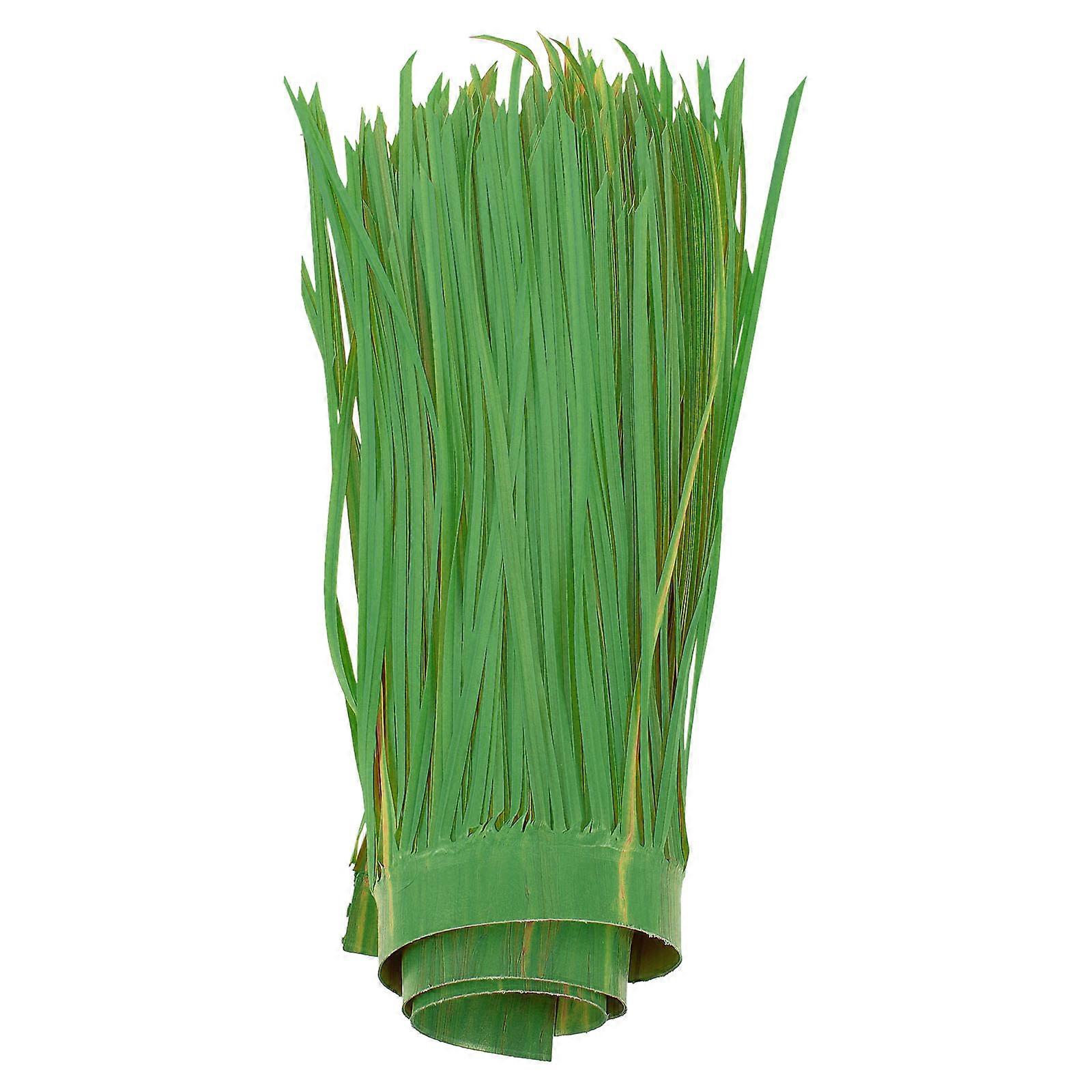 Mexico Grass Dark Material for Decoration Realistic Modeling Fine