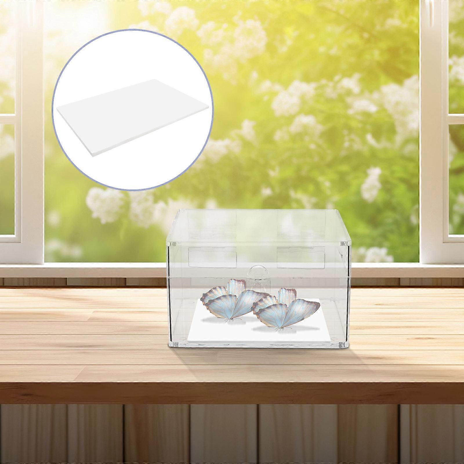 Butterfly Display Butterfly Pinning Pad for Specimens 5Pcs Eva White
