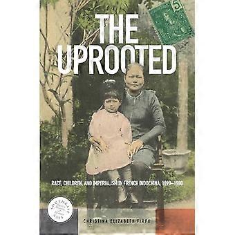 The Uprooted Race Children and Imperialism in French Indochina 1890 1980