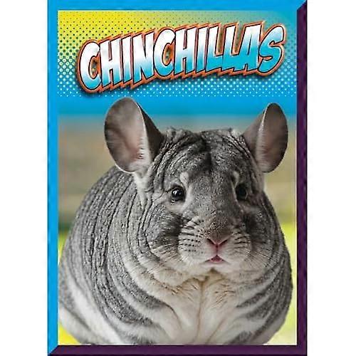 Cincillà