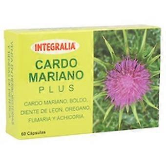Milk Thistle Plus 60 capsules