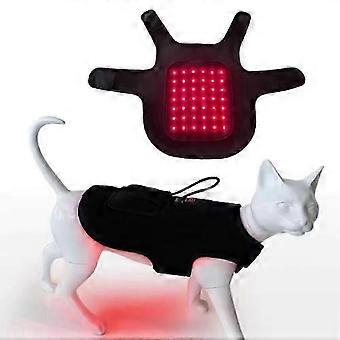 Tragbares LED-Rotlicht-Physiotherapiegerät für Hunde und Katzen mit Rückenproblemen