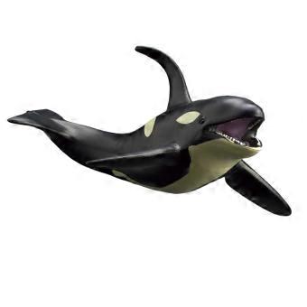 Realistic Whale Animal Model Marine Creature Figurine For Kids Education Decor