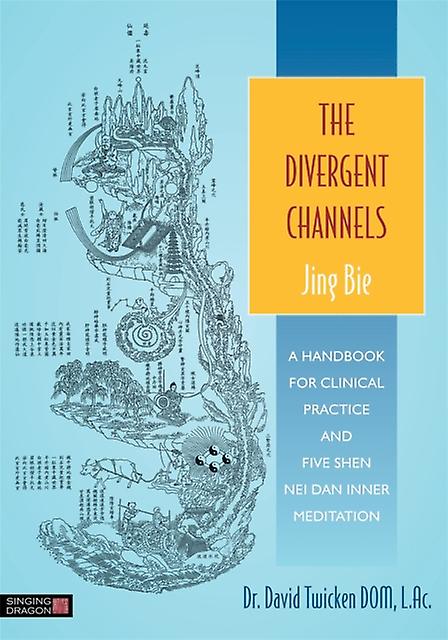 The Divergent Channels  Jing Bie by David Twicken Paperback