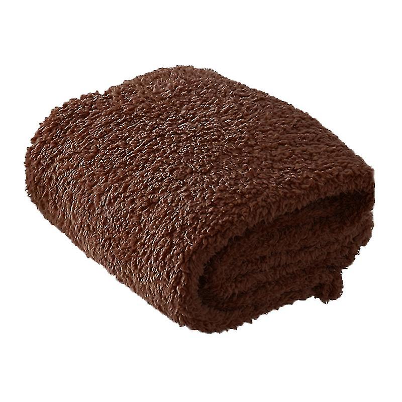 1pcs Plush Pet Carpet