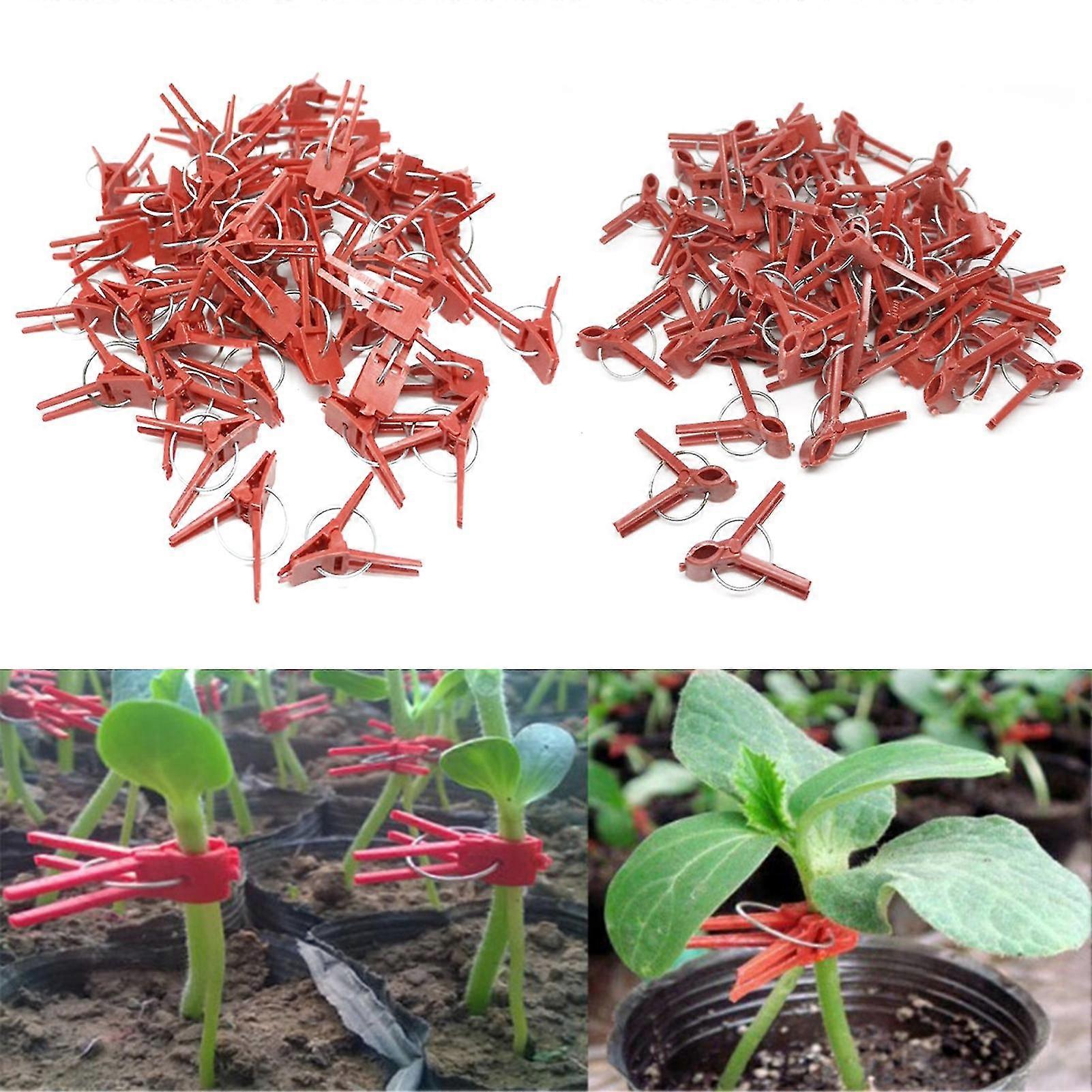 50 قطعة / مجموعة مقاطع التطعيم قابلة لإعادة الاستخدام مرنة ABS تطعيم مقاطع حديقة النباتات الدعم للباذنجان