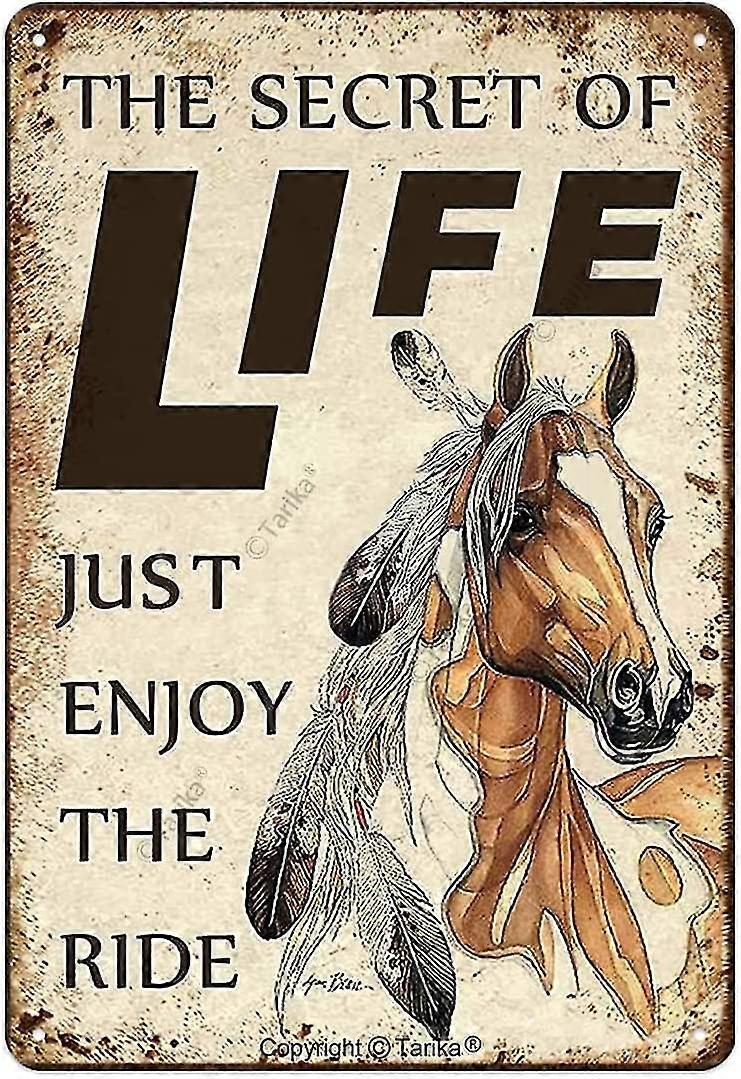 O Segredo da Vida Apenas Aproveite o Passeio Pôster de Ferro Pintura em Lata Sinal 8x12 Polegadas OU 12x16 Polegadas Modo 52