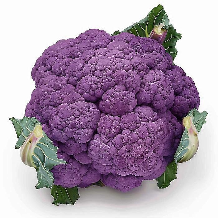 100 Purple Cauliflower Seeds - SemiSauvage Permaculture