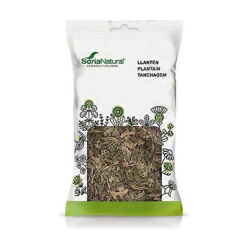 Plantain 40 g