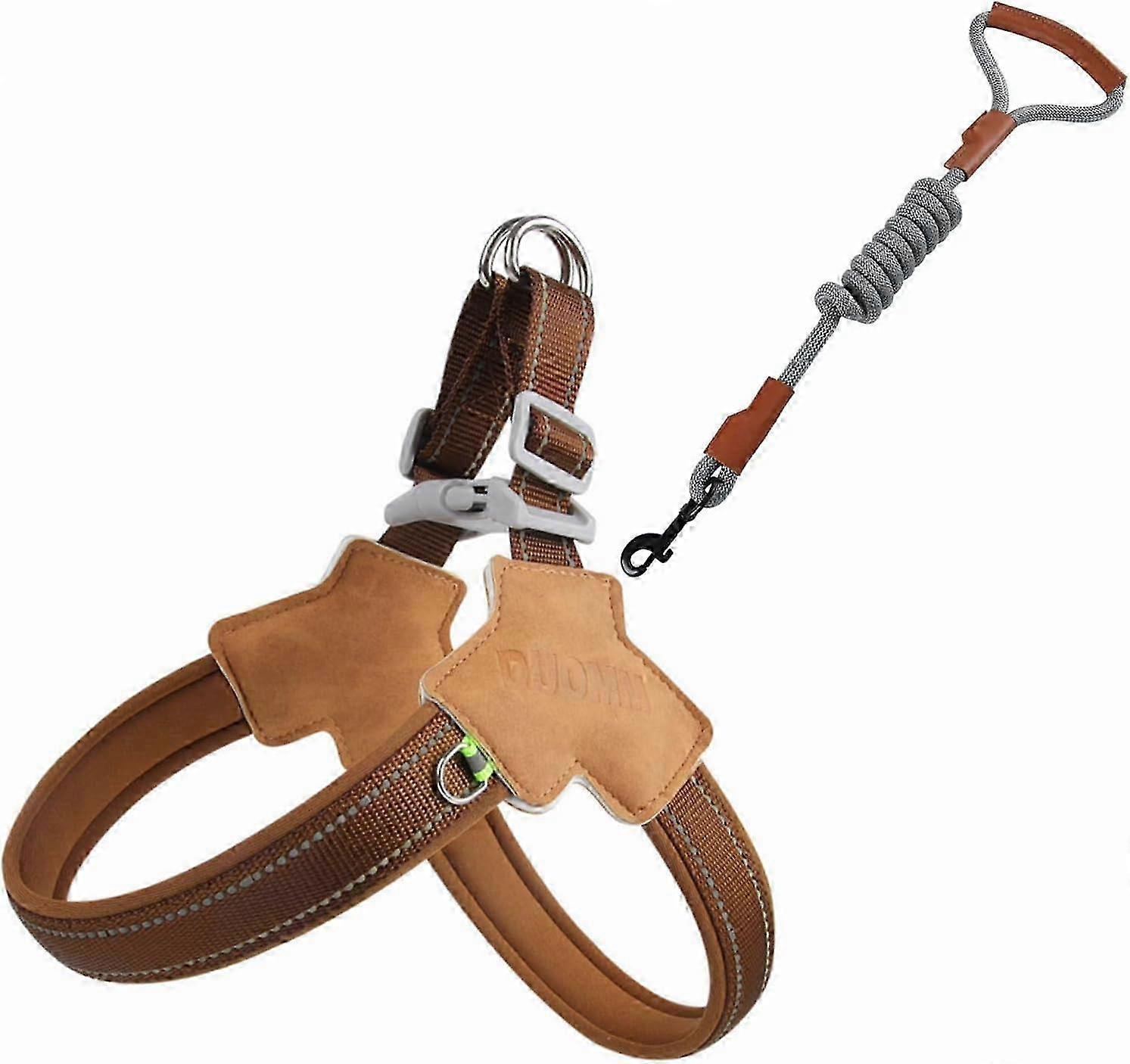 Dog Harness and Leash Set, Anti Pull Step-in Adjustable Reflective Vest Soft Padded Easy Pet Chest Strap with Nylon Rope Dog Leash for Large Medium Sm