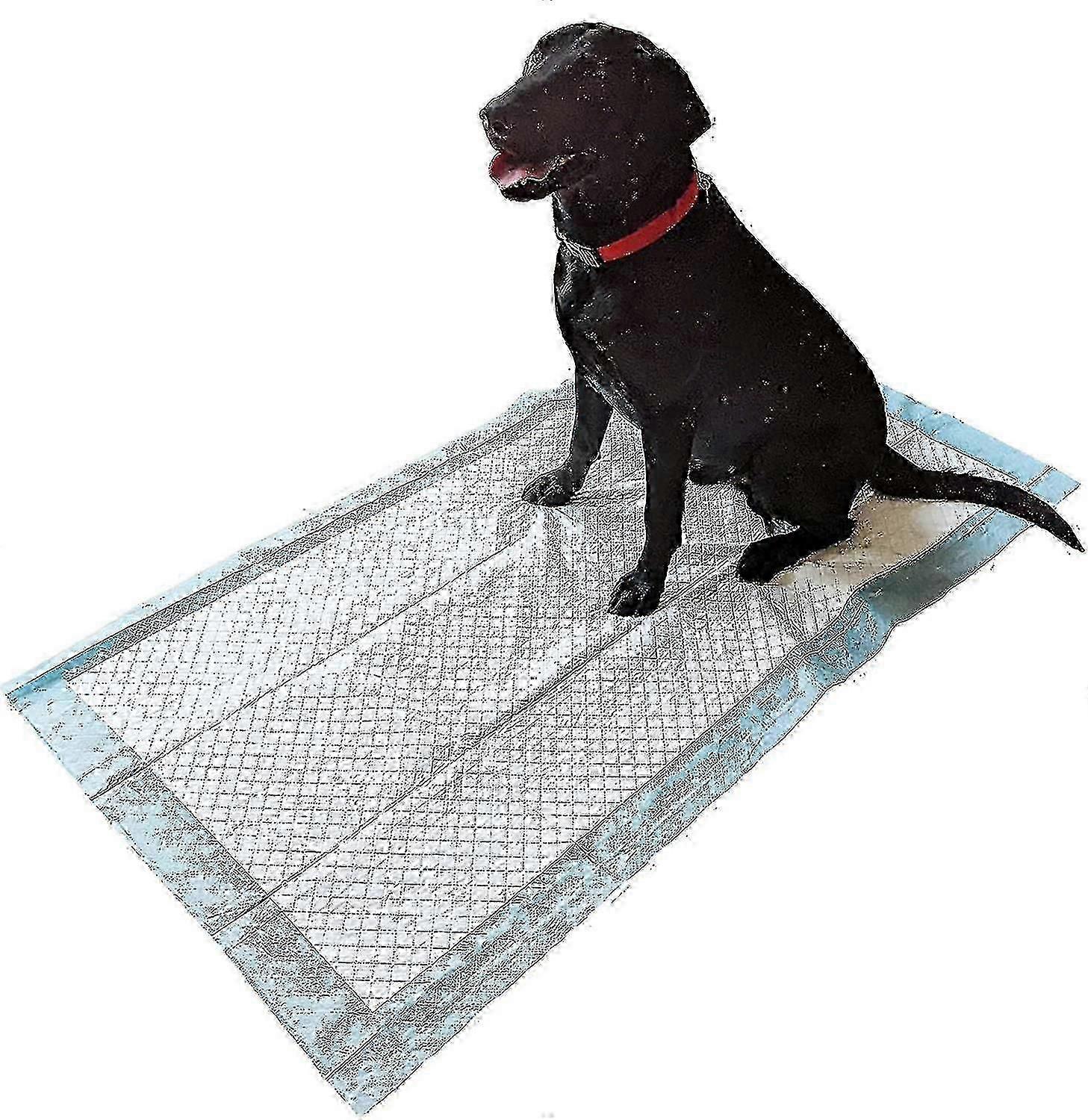 Extra Large Dog Training Pads 20-Pack | 1500x800mm Absorbent Puppy Wee Mats