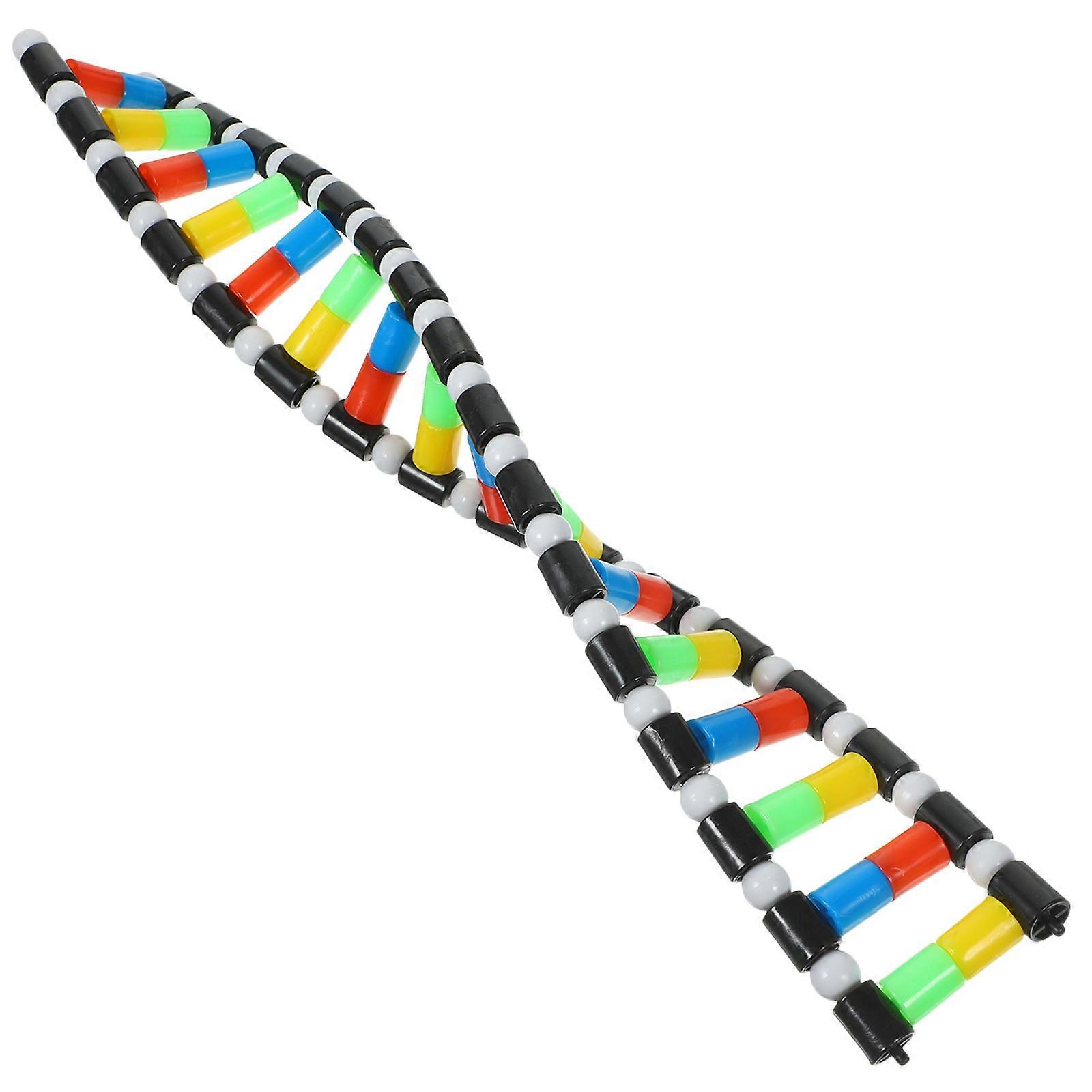 Dna Double Helix Model Kit for Science Classroom Teaching 12Pcs Plastic