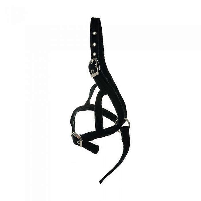 Hy Foal Slip Halter
