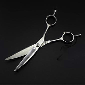 Professional Hair Cutting Scissors with Sharp Stainless Steel Blades, Ergonomic Barber Shears for Salon and Home Use