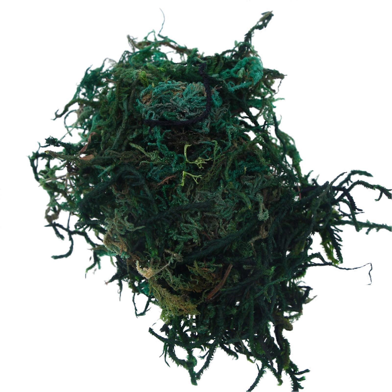 1 Bag Simulation Moss Vibrant Realistic Doll House Artificial Moss Green Plants for Miniature Scenes DIY Projects