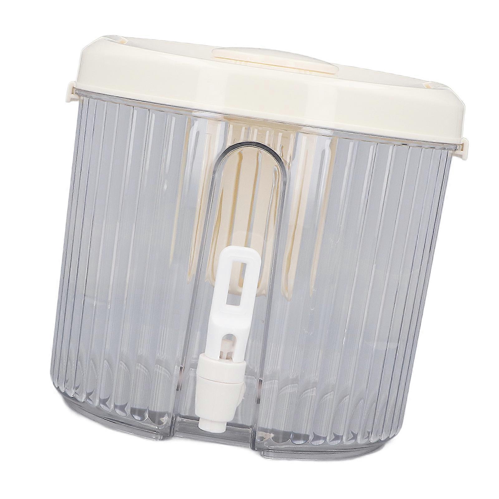 Beverage Drink Dispenser 4L with Faucet Dual Filtration for Water and Juice Party Container