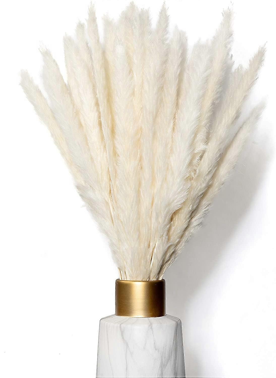 Add a Touch of Elegance with 10pcs Dried Pampas Grass in White - Perfect for Home Decor and Floral Arrangements