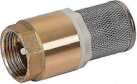 2024 1 Inch Brass Check Valve, Air Pump Check Valve And Inlet Filter (pack Of 1)
